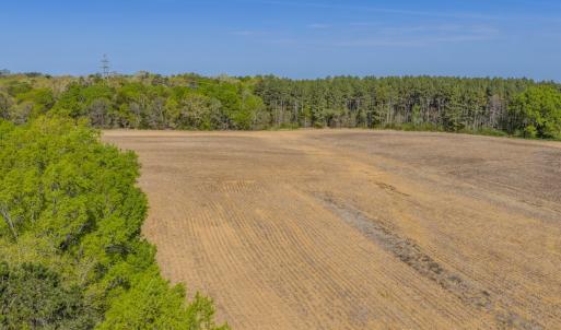Photo #46 of 17643 Efird Road, Albemarle, NC 71.5 acres