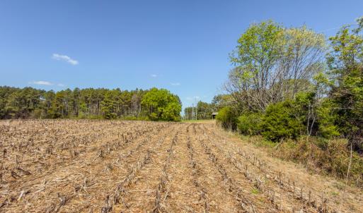 Photo #52 of 17643 Efird Road, Albemarle, NC 71.5 acres