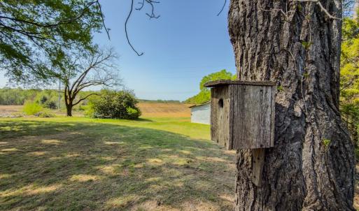 Photo #53 of 17643 Efird Road, Albemarle, NC 71.5 acres