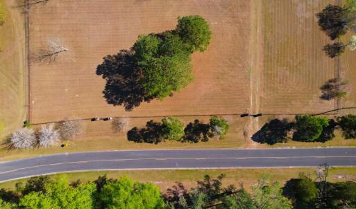 Photo #10 of 889 Spann Road, Trenton, NC 8.9 acres