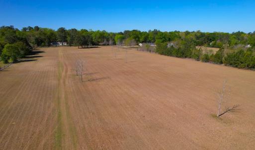 Photo #13 of 889 Spann Road, Trenton, NC 8.9 acres