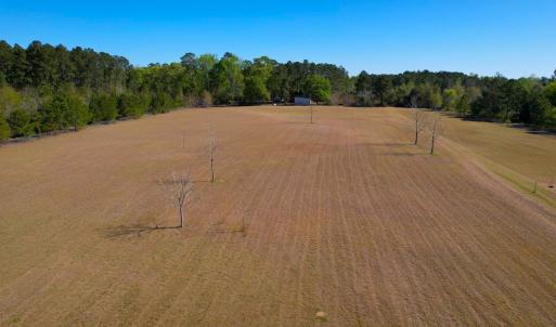 Photo #14 of 889 Spann Road, Trenton, NC 8.9 acres