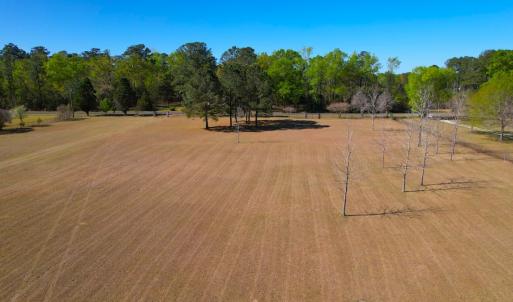Photo #15 of 889 Spann Road, Trenton, NC 8.9 acres