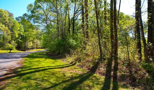 Photo #16 of 889 Spann Road, Trenton, NC 8.9 acres