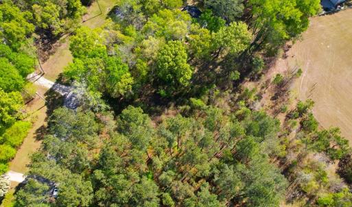 Photo #17 of 889 Spann Road, Trenton, NC 8.9 acres