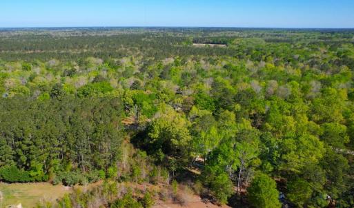 Photo #18 of 889 Spann Road, Trenton, NC 8.9 acres