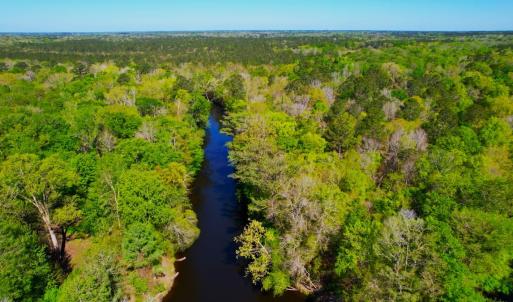 Photo #22 of 889 Spann Road, Trenton, NC 8.9 acres