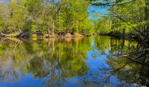 Photo #25 of 889 Spann Road, Trenton, NC 8.9 acres