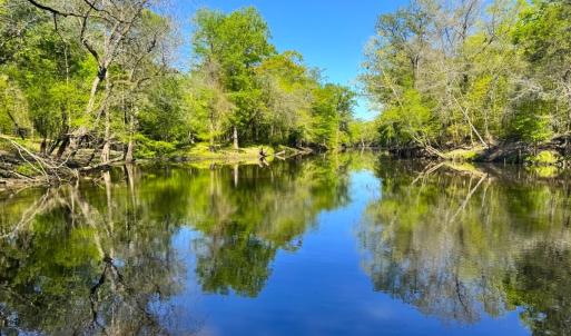 Photo #26 of 889 Spann Road, Trenton, NC 8.9 acres