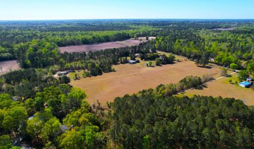 Photo #6 of 889 Spann Road, Trenton, NC 8.9 acres