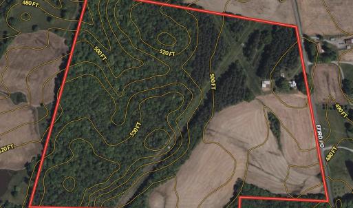 Photo #62 of 17643 Efird Road, Albemarle, NC 71.5 acres