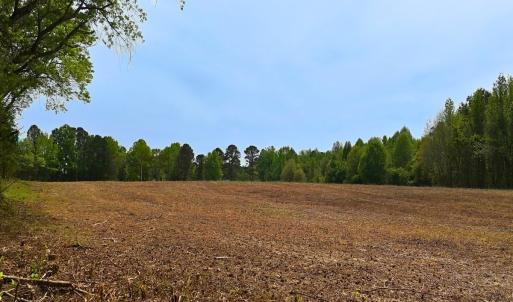 Photo #1 of Off Mamie Rd, Wilson, NC 18.7 acres