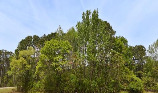 Photo #11 of Off Mamie Rd, Wilson, NC 18.7 acres