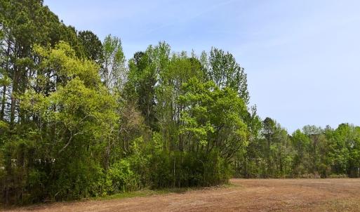 Photo #14 of Off Mamie Rd, Wilson, NC 18.7 acres