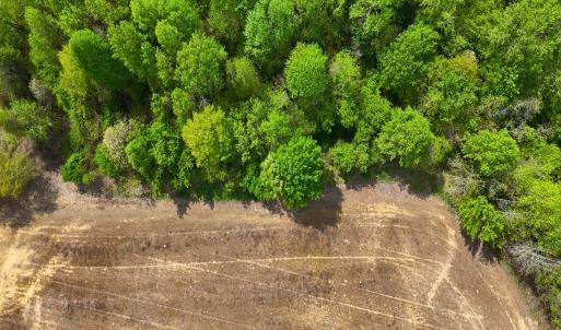 Photo #16 of Off Mamie Rd, Wilson, NC 18.7 acres