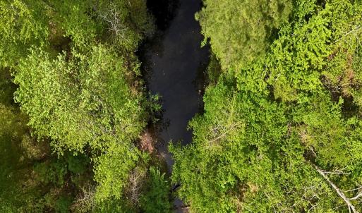 Photo #19 of Off Mamie Rd, Wilson, NC 18.7 acres