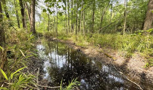 Photo #21 of Off Mamie Rd, Wilson, NC 18.7 acres