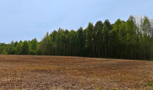Photo #22 of Off Mamie Rd, Wilson, NC 18.7 acres