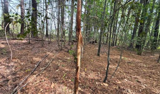 Photo #23 of Off Mamie Rd, Wilson, NC 18.7 acres