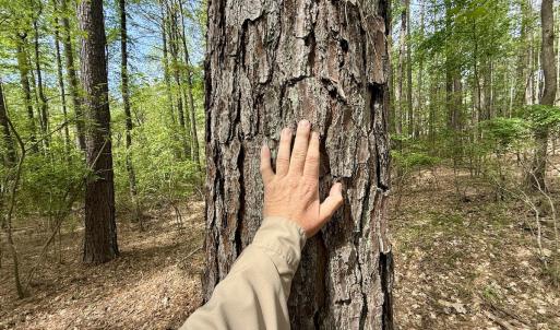 Photo #16 of 161 Greens Rd, Granite Falls, NC 1.0 acres