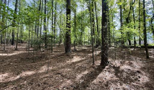 Photo #18 of 161 Greens Rd, Granite Falls, NC 1.0 acres