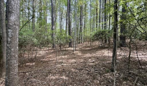 Photo #29 of 161 Greens Rd, Granite Falls, NC 1.0 acres