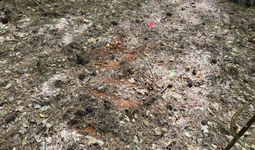 Photo #6 of 161 Greens Rd, Granite Falls, NC 1.0 acres