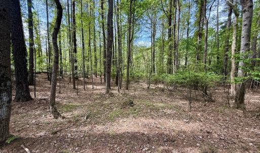 Photo #34 of 161 Greens Rd, Granite Falls, NC 1.0 acres