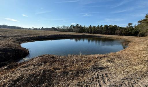 Photo #7 of Off of NC 131 Hwy, Bladenboro, NC 9.9 acres