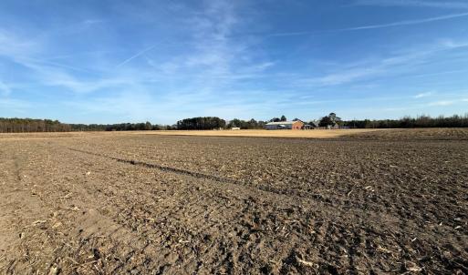 Photo #24 of Off of NC 131 Hwy, Bladenboro, NC 9.9 acres