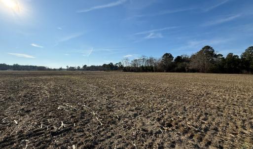 Photo #40 of Off of NC 131 Hwy, Bladenboro, NC 9.9 acres