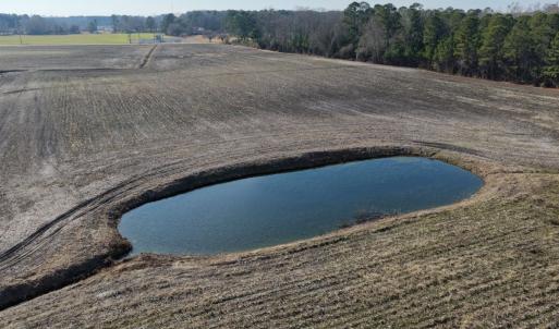 Photo #49 of Off of NC 131 Hwy, Bladenboro, NC 9.9 acres