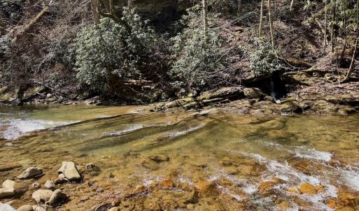 Photo #1 of Off of Greens Chapel Lane, Dungannon, VA 60.5 acres