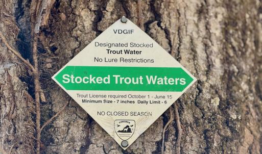 Photo #12 of Off of Greens Chapel Lane, Dungannon, VA 60.5 acres