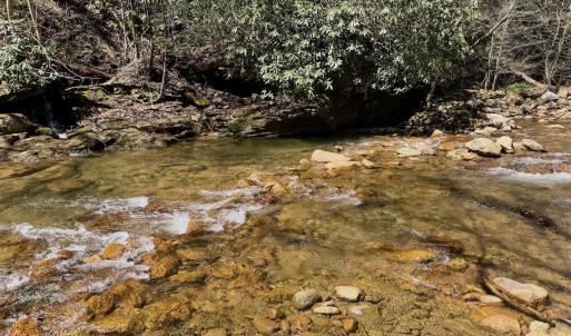 Photo #13 of Off of Greens Chapel Lane, Dungannon, VA 60.5 acres