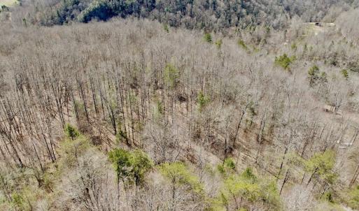 Photo #14 of Off of Greens Chapel Lane, Dungannon, VA 60.5 acres