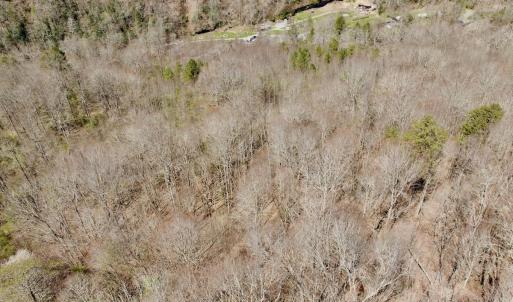 Photo #15 of Off of Greens Chapel Lane, Dungannon, VA 60.5 acres