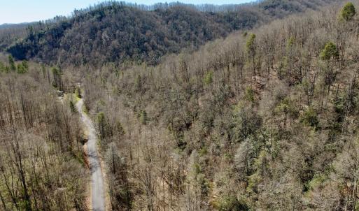 Photo #18 of Off of Greens Chapel Lane, Dungannon, VA 60.5 acres