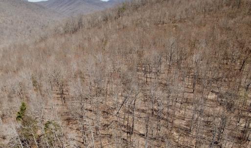 Photo #20 of Off of Greens Chapel Lane, Dungannon, VA 60.5 acres