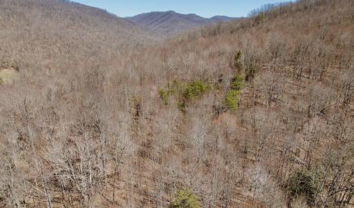 Photo #3 of Off of Greens Chapel Lane, Dungannon, VA 60.5 acres