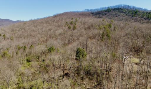 Photo #8 of Off of Greens Chapel Lane, Dungannon, VA 60.5 acres