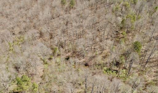 Photo #33 of Off of Greens Chapel Lane, Dungannon, VA 60.5 acres