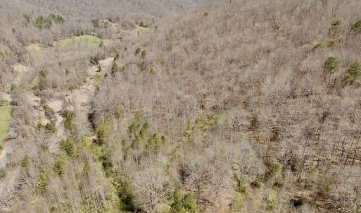 Photo #34 of Off of Greens Chapel Lane, Dungannon, VA 60.5 acres