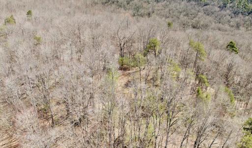 Photo #35 of Off of Greens Chapel Lane, Dungannon, VA 60.5 acres