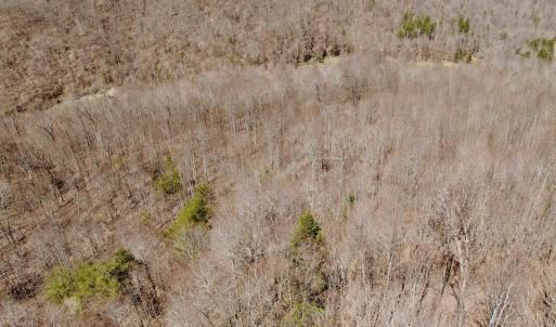 Photo #37 of Off of Greens Chapel Lane, Dungannon, VA 60.5 acres