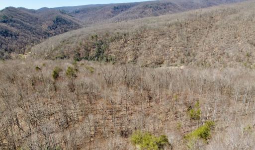 Photo #38 of Off of Greens Chapel Lane, Dungannon, VA 60.5 acres