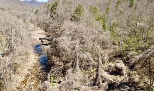 Photo #28 of Off of Greens Chapel Lane, Dungannon, VA 60.5 acres