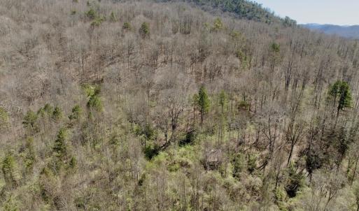 Photo #31 of Off of Greens Chapel Lane, Dungannon, VA 60.5 acres