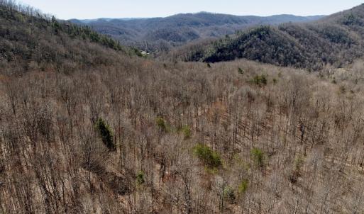 Photo #40 of Off of Greens Chapel Lane, Dungannon, VA 60.5 acres