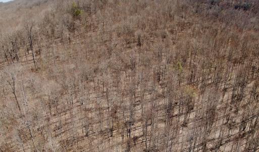 Photo #41 of Off of Greens Chapel Lane, Dungannon, VA 60.5 acres